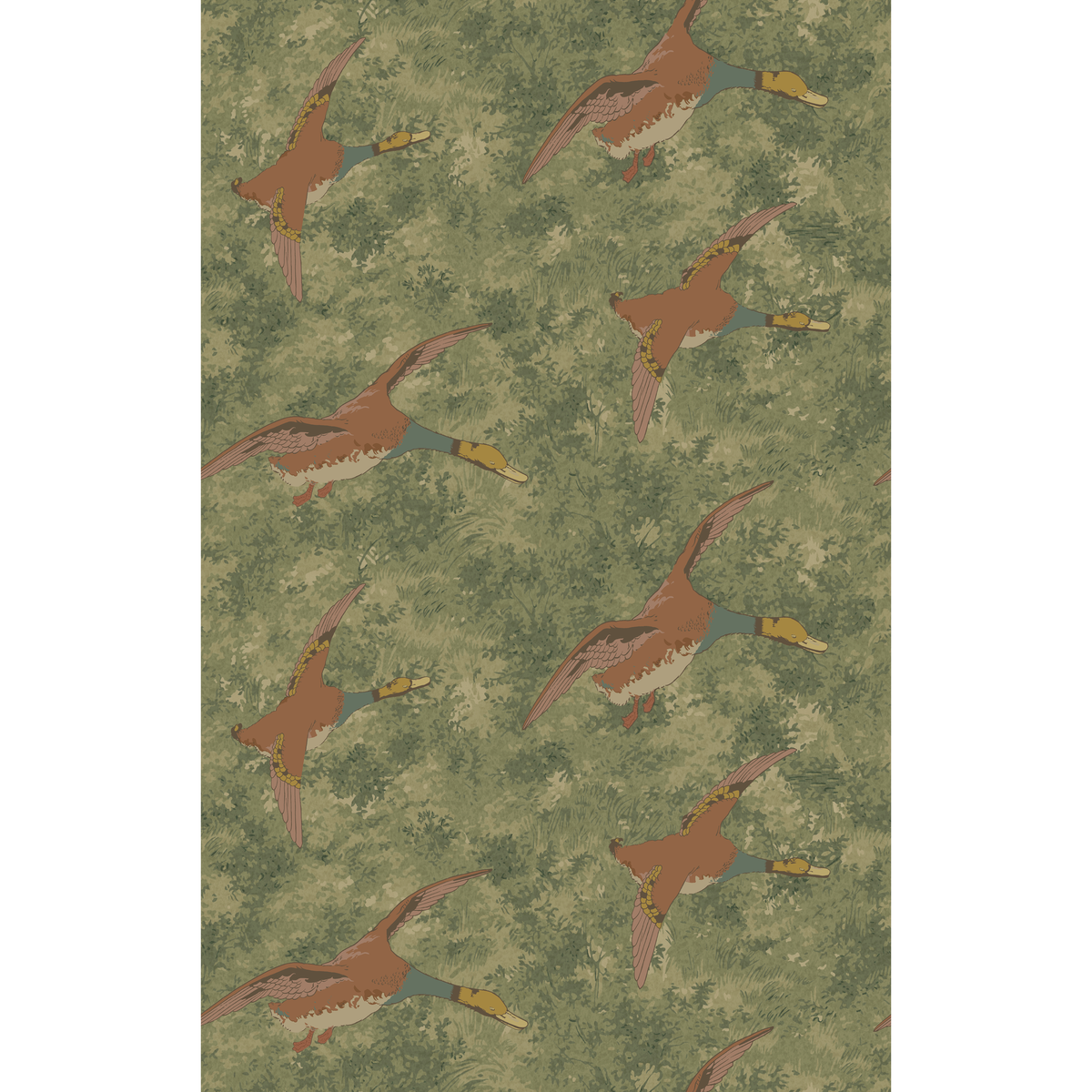 Forest Ducks - Lovat