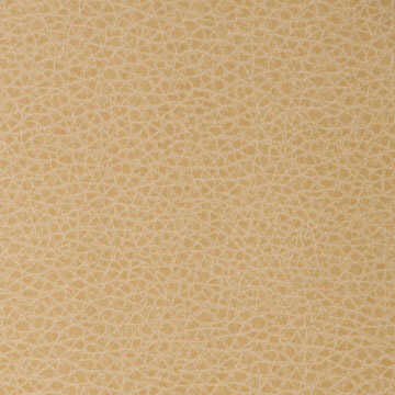Foothill - Sesame