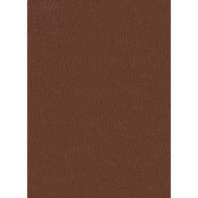 Kravet Design - Fortune-6