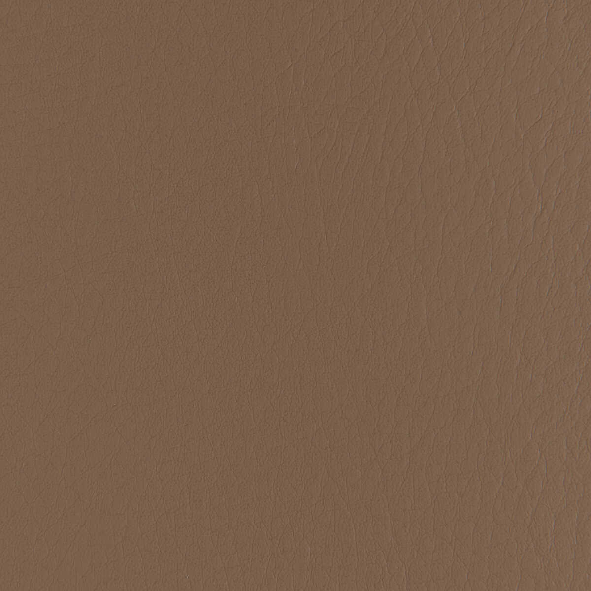 Forza - Walnut - KRAVET CONTRACT Tela