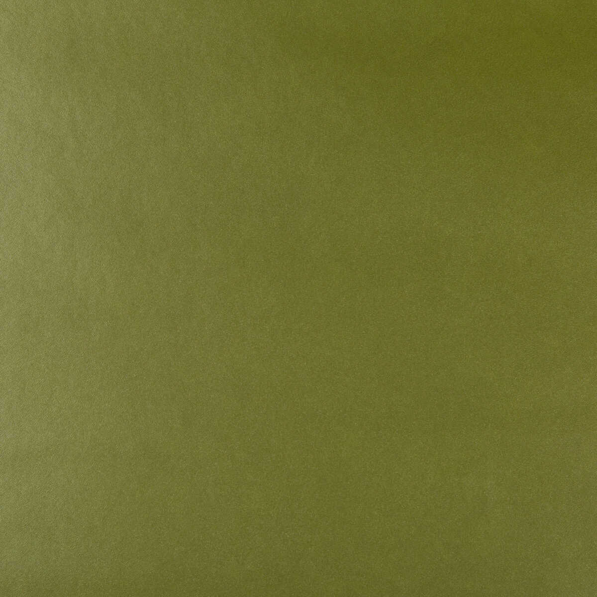 Kravet Design - Frankel-3