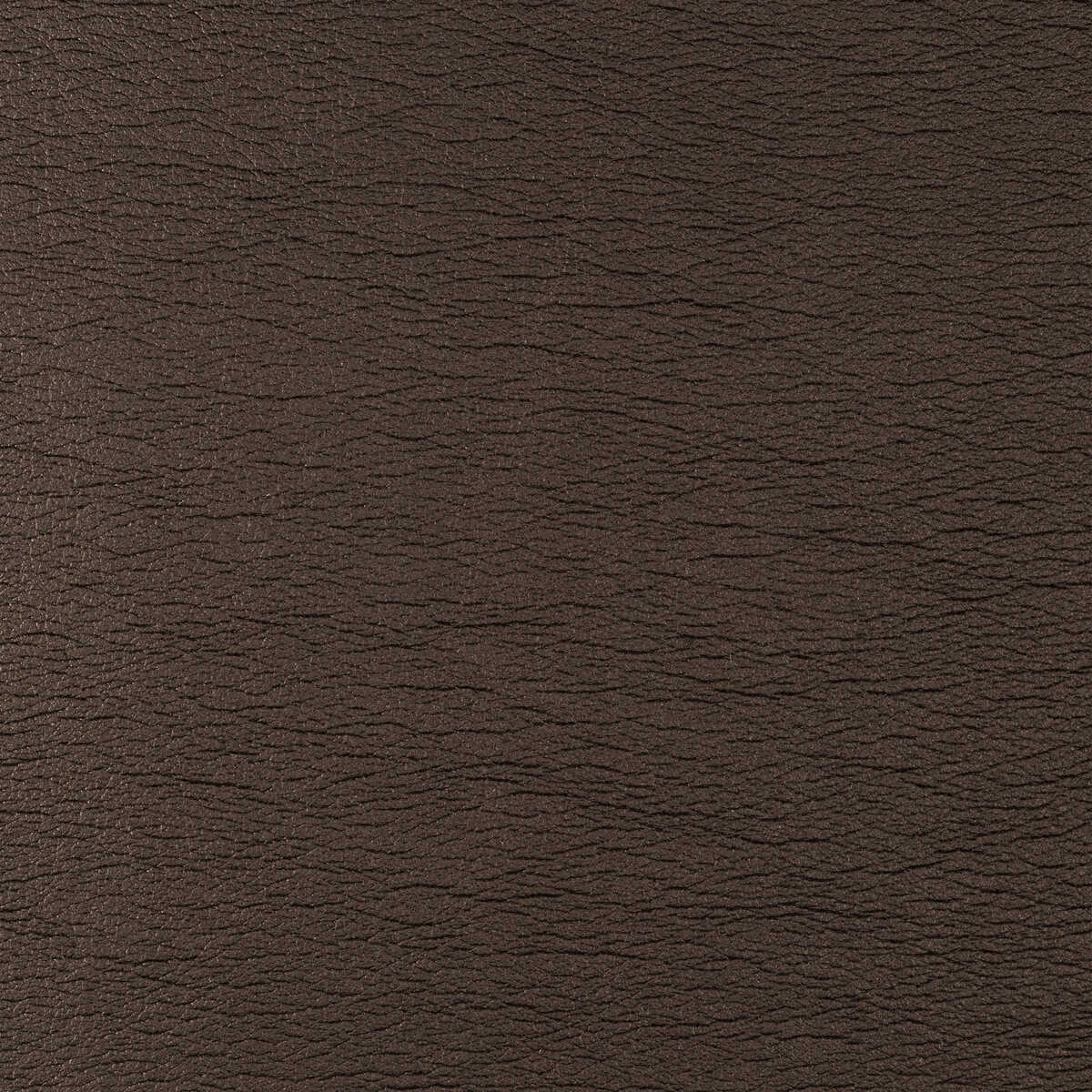 Kravet Design - Galleon-6