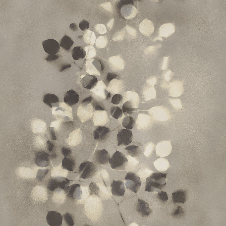 garland-gar-02-blossom-innovations - Innovations Wallpaper