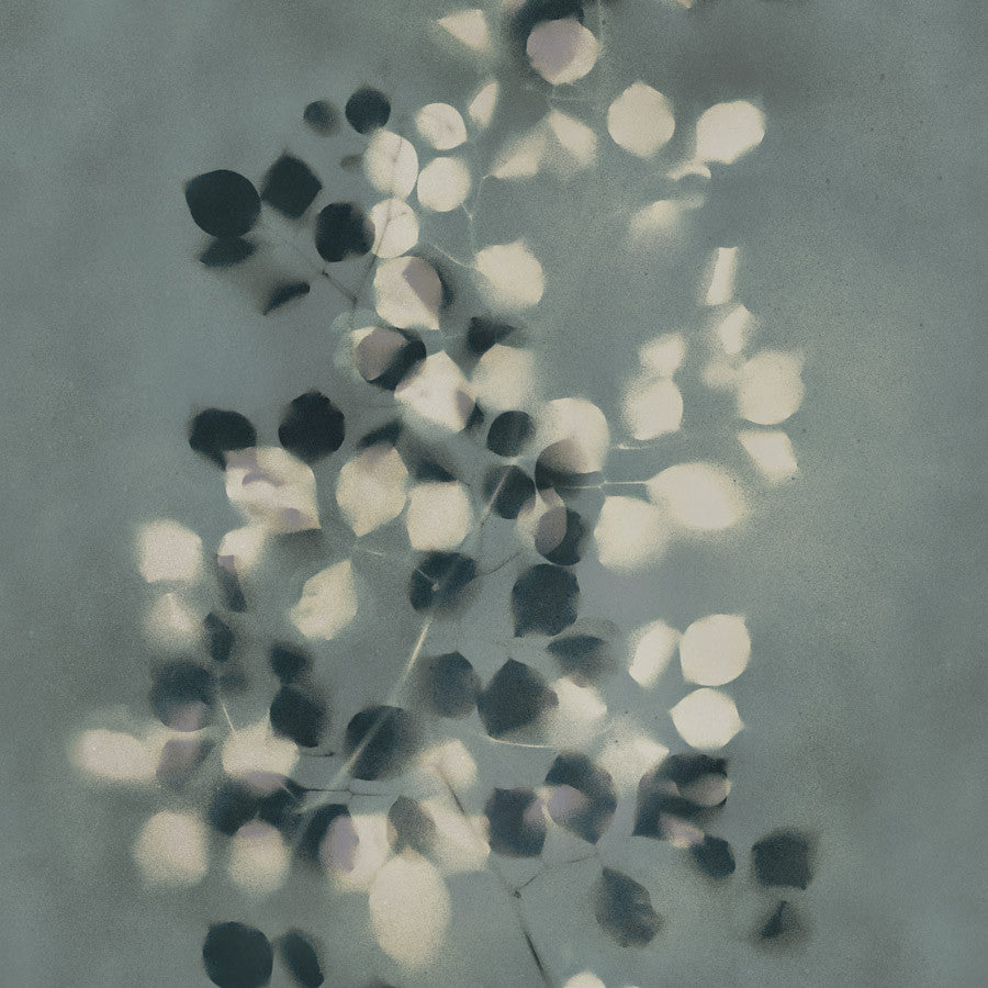 garland-gar-05-petals-innovations - Innovations Wallpaper