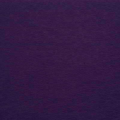 Kravet Design - Gato-10