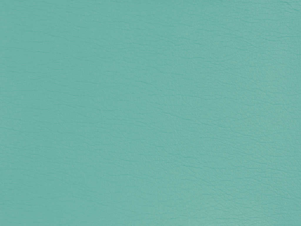 Kravet Design - Gato-13