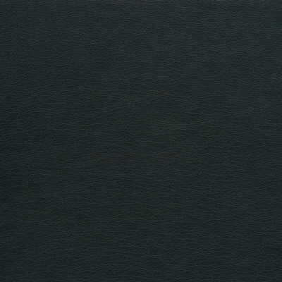 Kravet Design - Gato-21