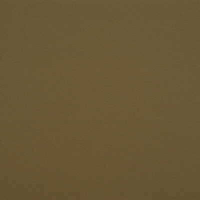 Kravet Design - Gato-30 - KRAVET DESIGN Fabric