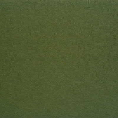 Kravet Design - Gato-35 - KRAVET DESIGN Fabric