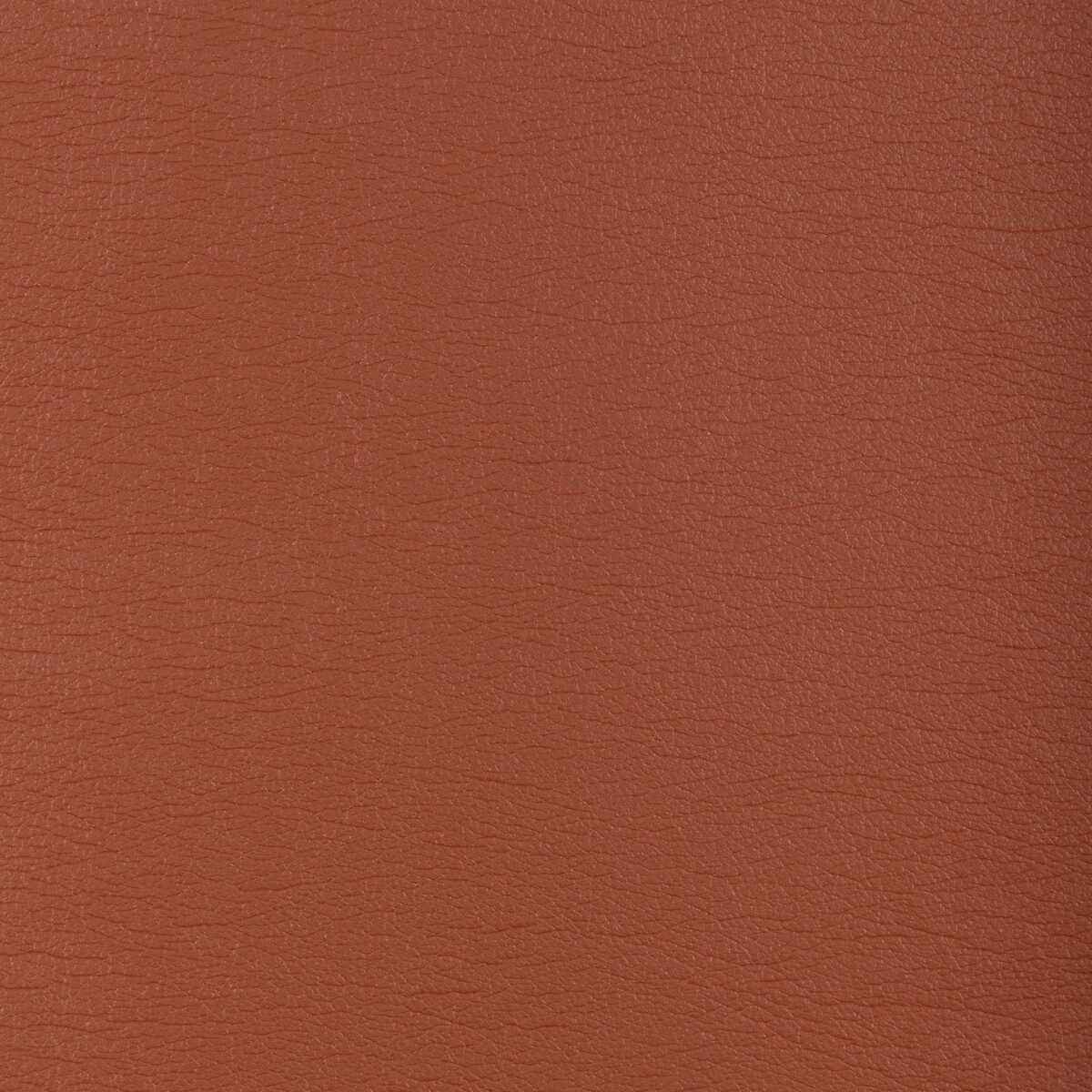 Gato6120 Kravet Design Gato 612 Kravet Design Fabric