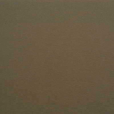 Kravet Design - Gato-621
