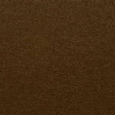 Kravet Design - Gato-66
