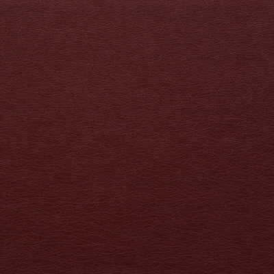 Kravet Design - Gato-9