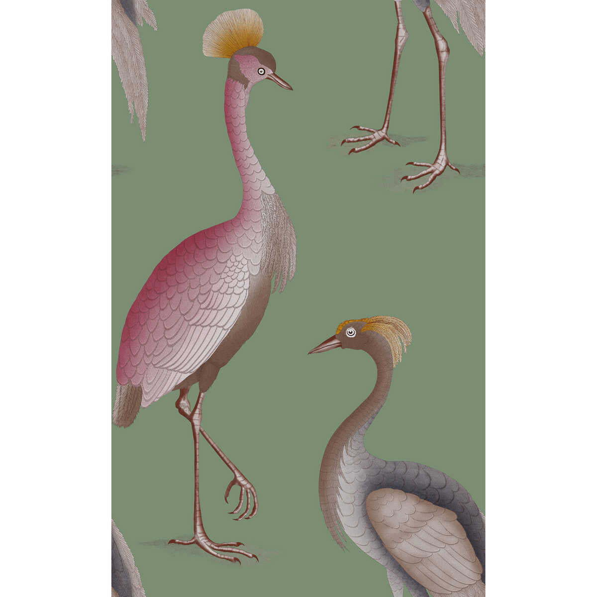 Garzas - Verde Agua - GASTON Y DANIELA Papel pintado