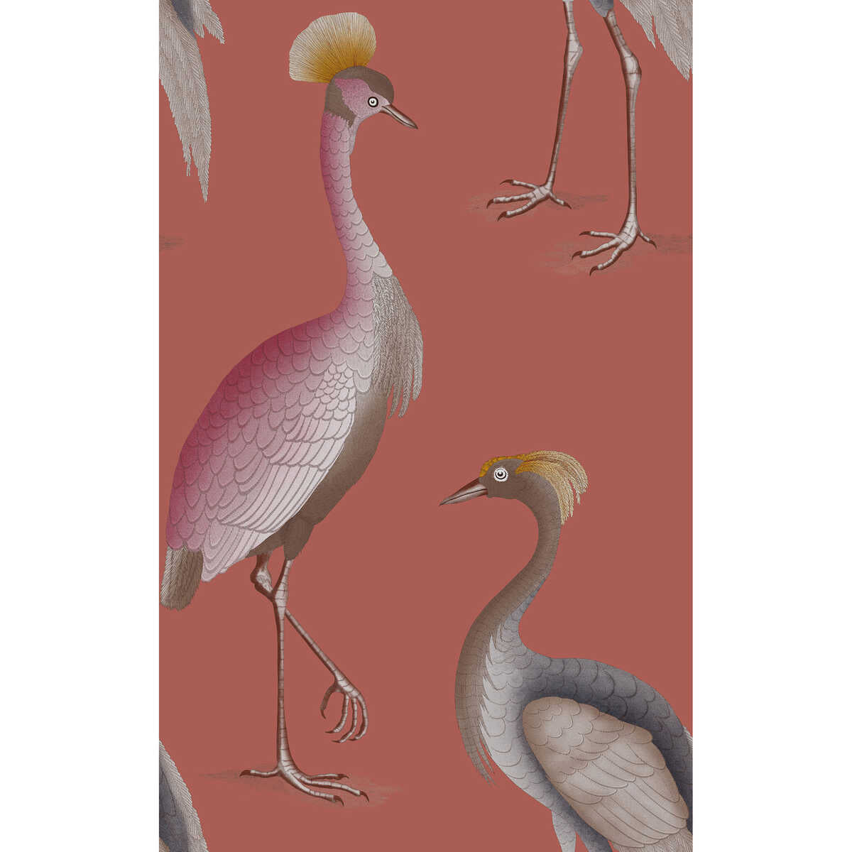 Garzas - Frambuesa - GASTON Y DANIELA Wallpaper