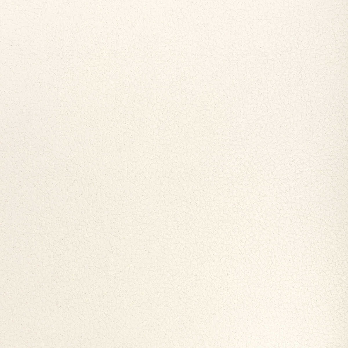 Kravet Design - Genslar-111