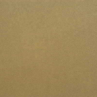 Kravet Design - Genslar-116