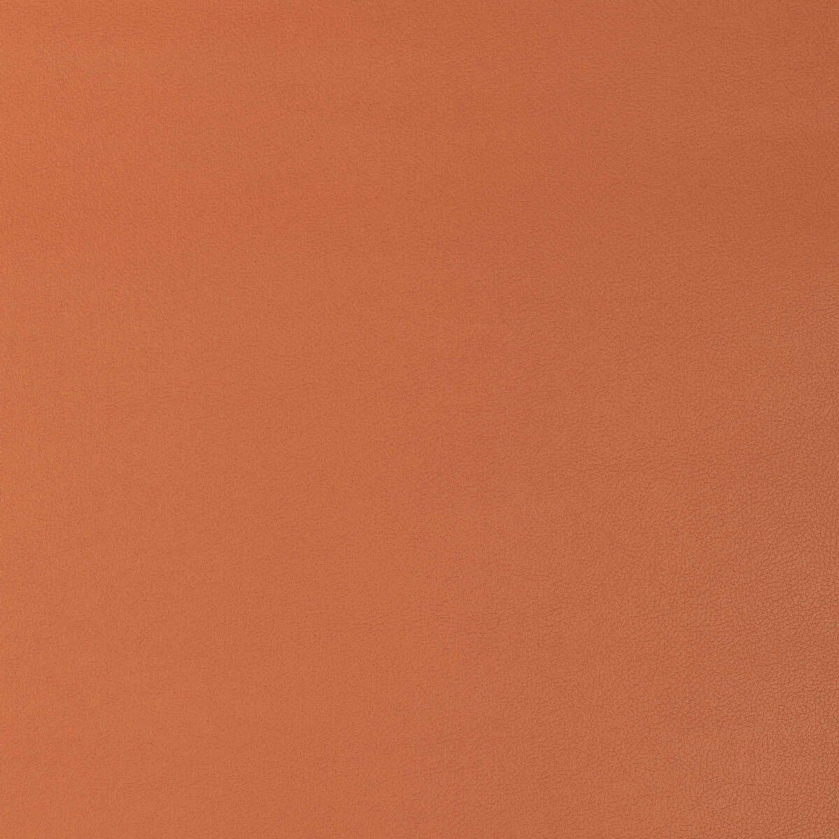 Kravet Design - Genslar-12 - KRAVET DESIGN Fabric