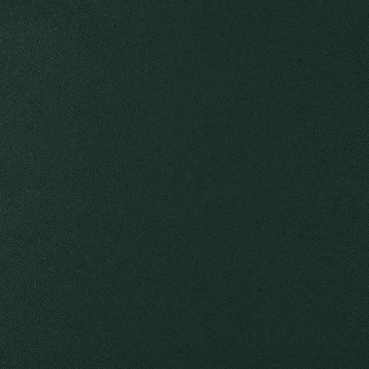Kravet Design - Genslar-35 - KRAVET DESIGN Tela
