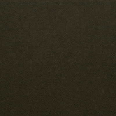 Kravet Design - Genslar-66 - KRAVET DESIGN Tela