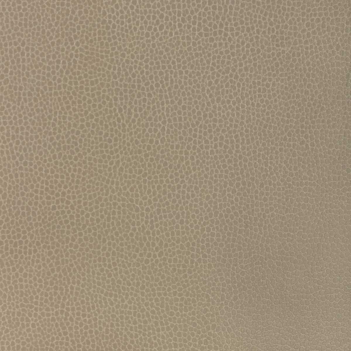 Kravet Design - Gillian-11