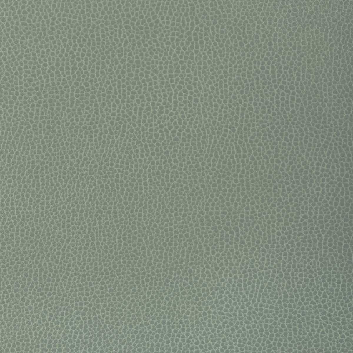 Kravet Design - Gillian-1313 - KRAVET DESIGN Fabric