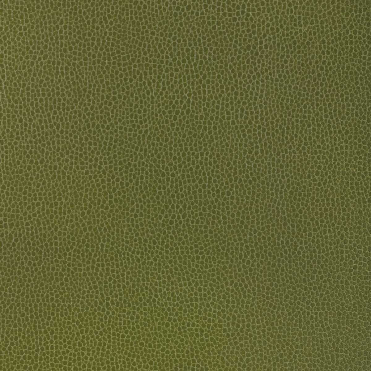 Kravet Design - Gillian-33 - KRAVET DESIGN Fabric