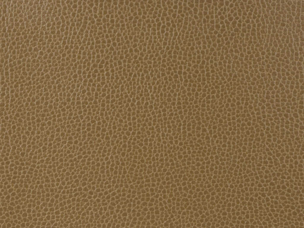 Kravet Design - Gillian-6
