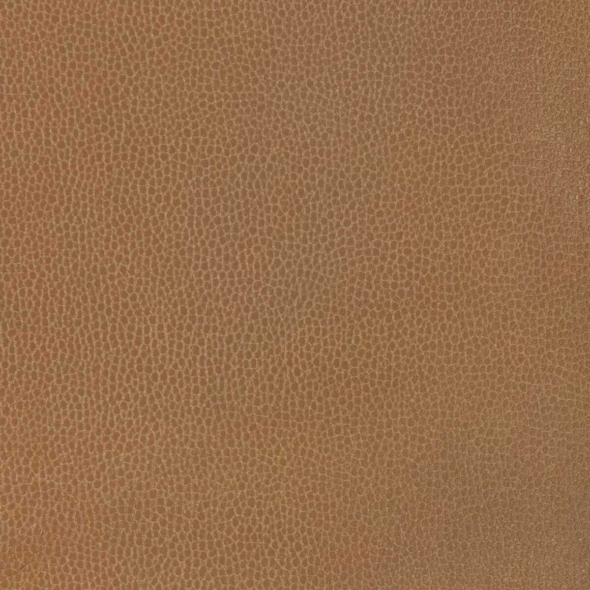 Kravet Design - Gillian-6116 - KRAVET DESIGN Fabric