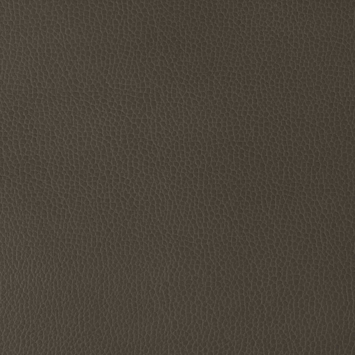 Kravet Design - Gillian-6666