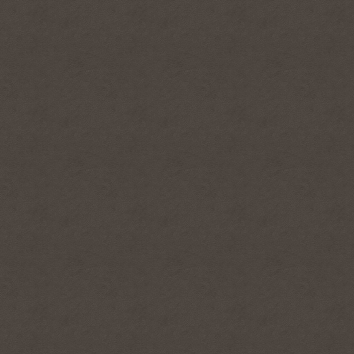 Kravet Design - Glendale-21