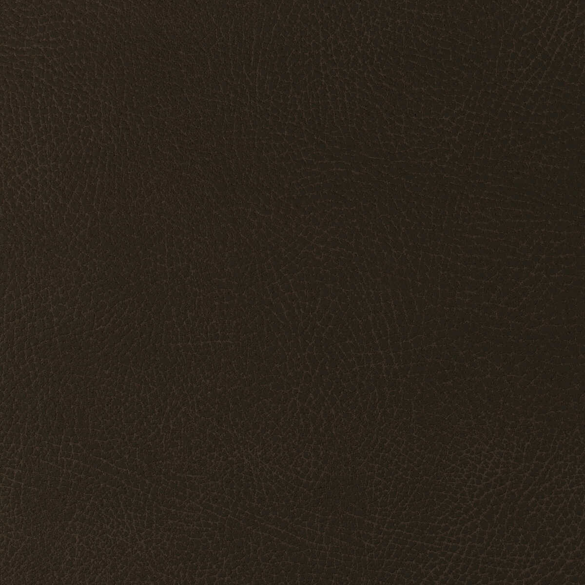 Kravet Design - Glendale-6166