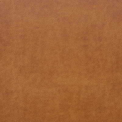 Kravet Design - Glendale-6616 - KRAVET DESIGN Fabric