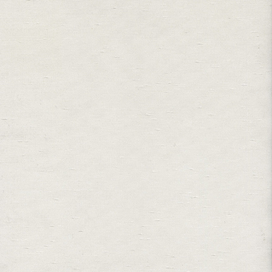 georgette-gor-01-scallop-innovations