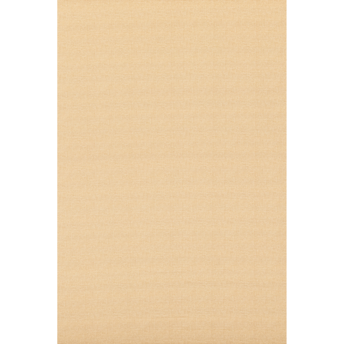 George & Minnie Canvas - Straw - George & Minnie Fabric