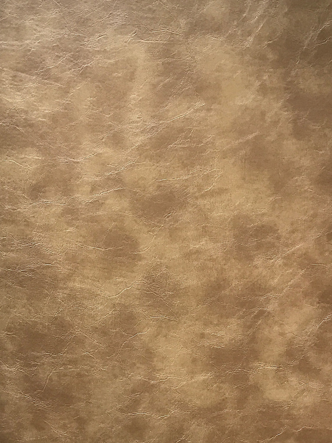 Elkhorn - Fawn