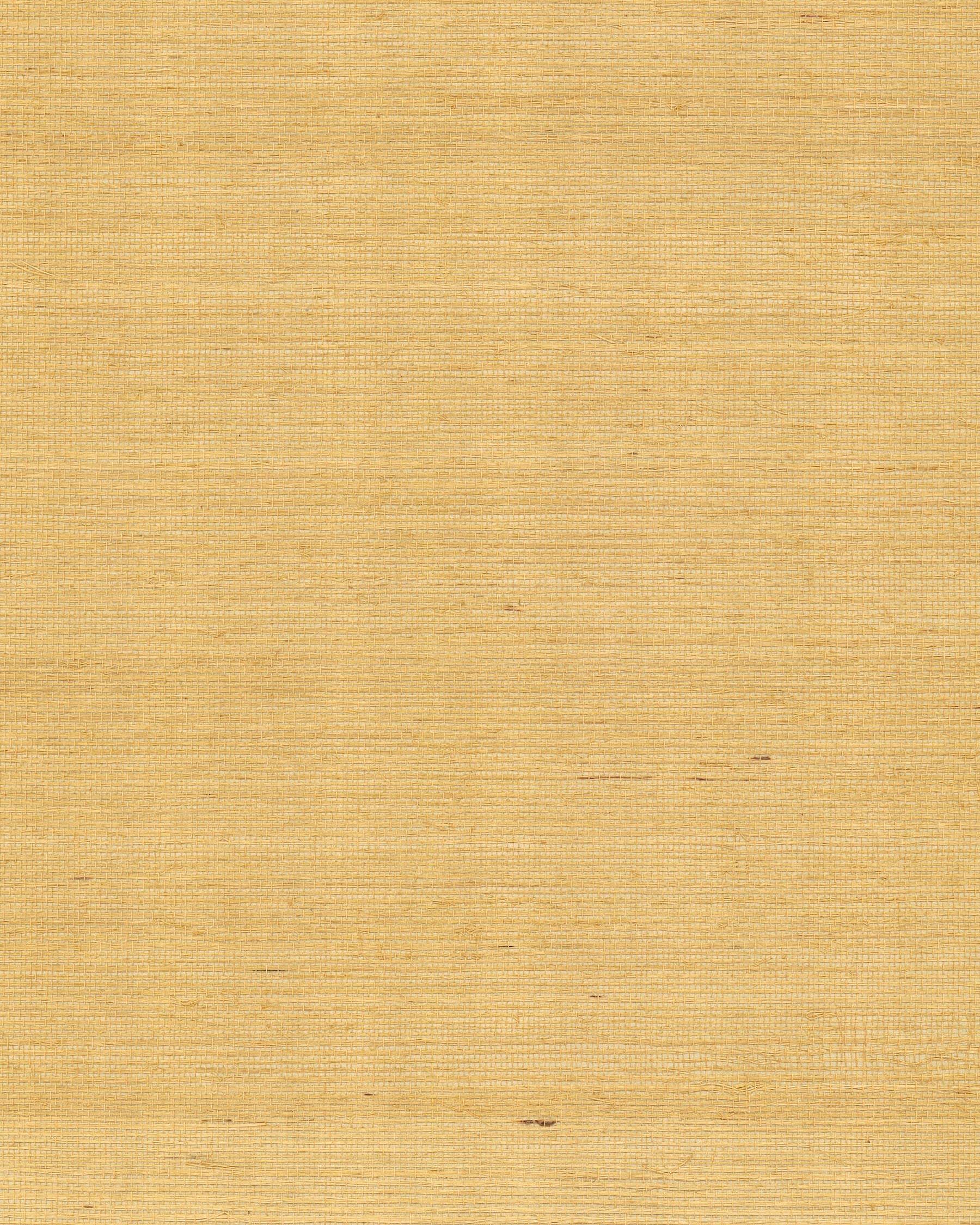 maguey-gold-and-beige-sisal-wallpaper-gold-and-beige-york-wallcoverings-gv0114nw