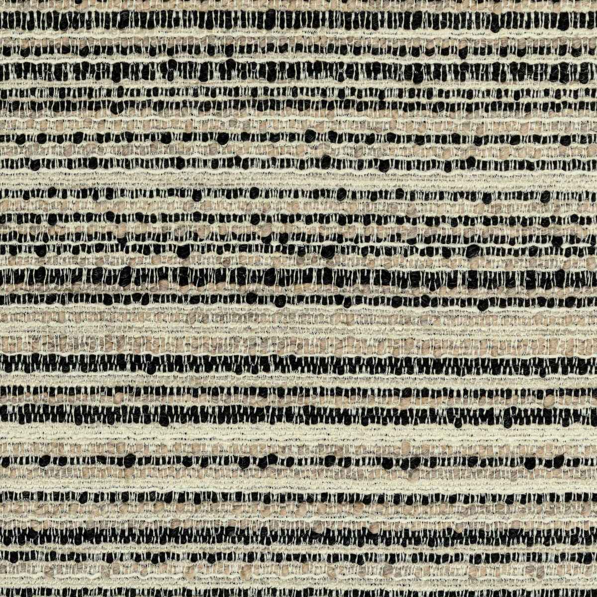 Gwf37651680 Relic Noir Lee Jofa Modern Fabric - LEE JOFA MODERN Fabric
