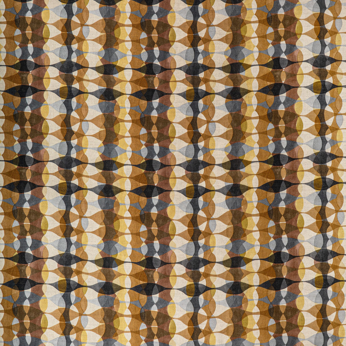 Overtone Print - Coin