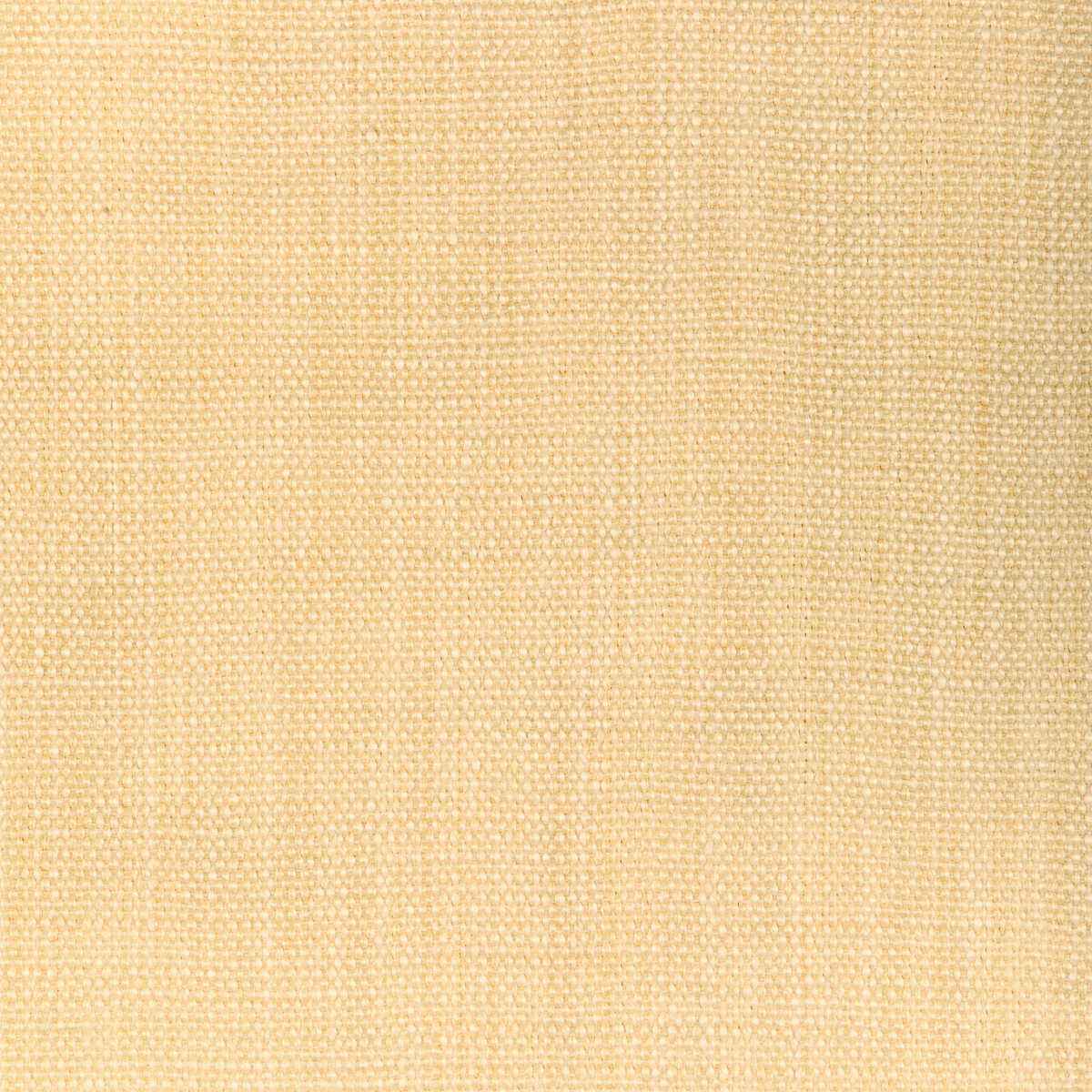 Gwf381510 Prairie Texture Ivory Lee Jofa Modern Fabric - LEE JOFA MODERN Fabric