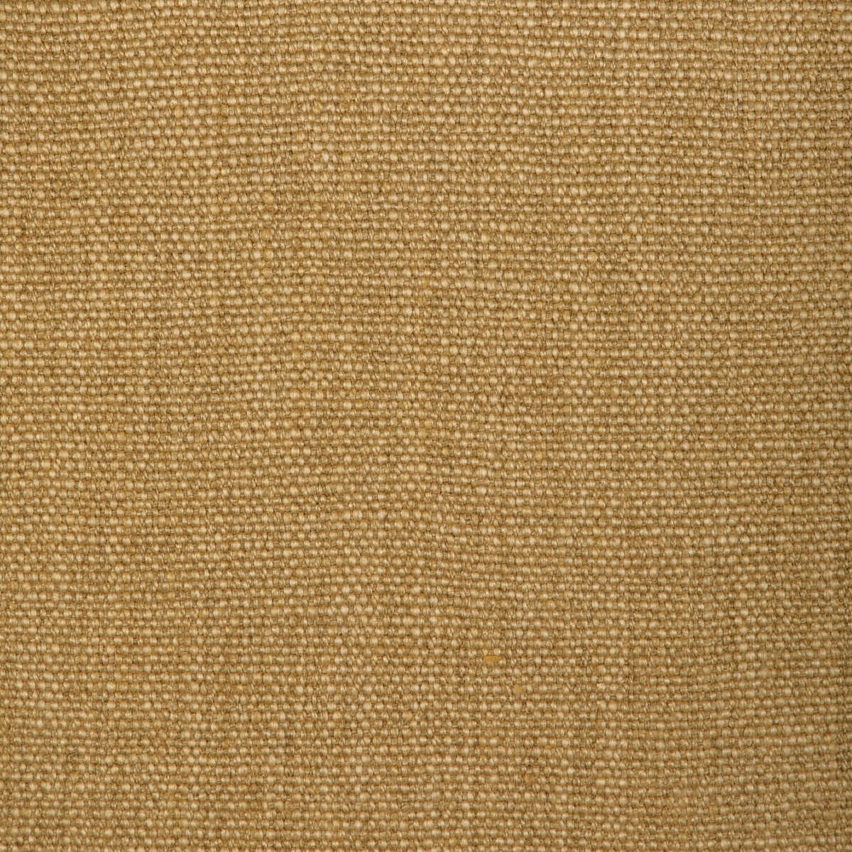 Prairie Texture - Straw - LEE JOFA MODERN Fabric