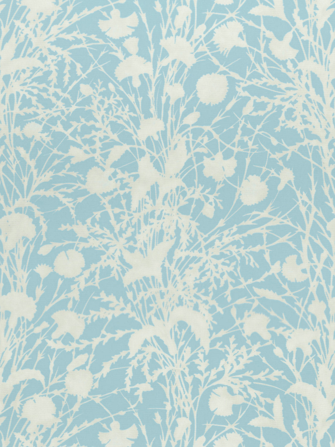 Wildflower - Morning Sky - Scalamandre Fabric