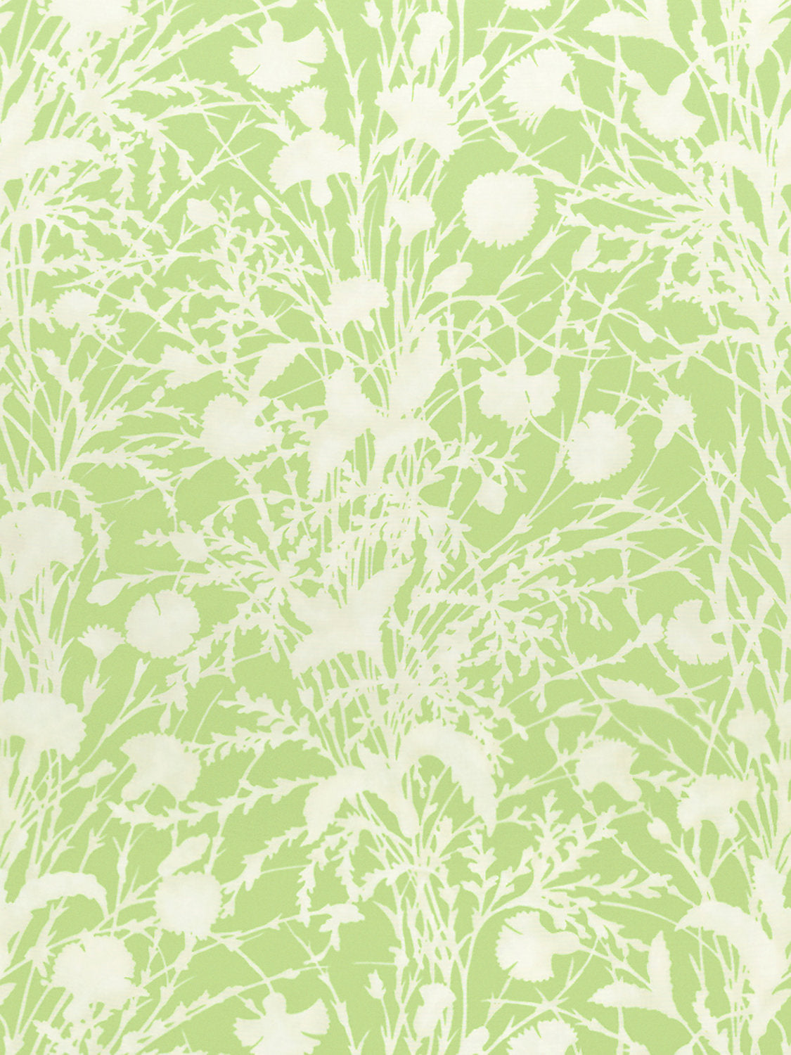 Wildflower - Grasshopper - Scalamandre Fabric