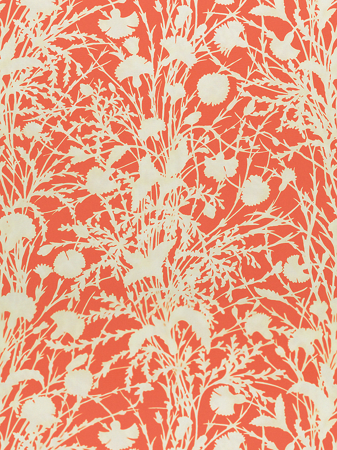 Wildflower - Guava - Scalamandre Fabric