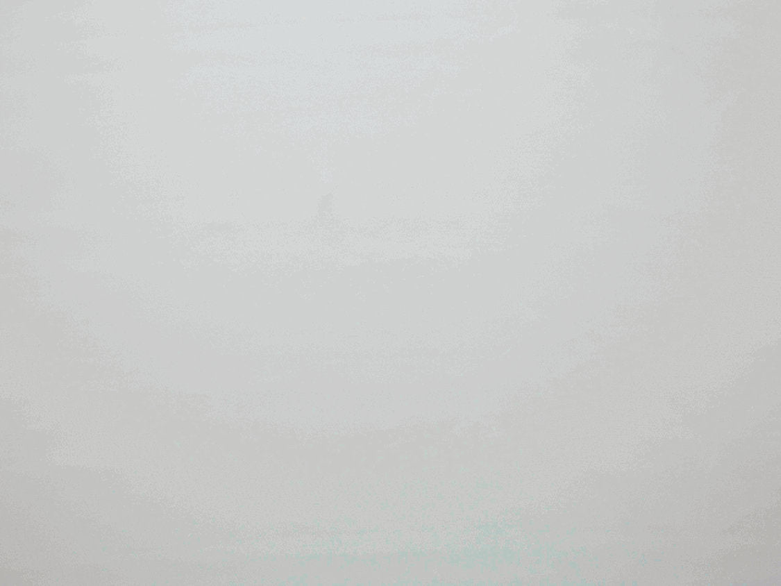 Crepuscule M1 - Perle - Scalamandre Fabric