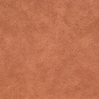Alcantara - Alezan