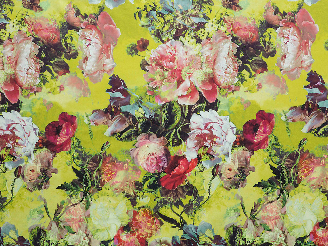 Botanique - Pollen - Scalamandre Fabric