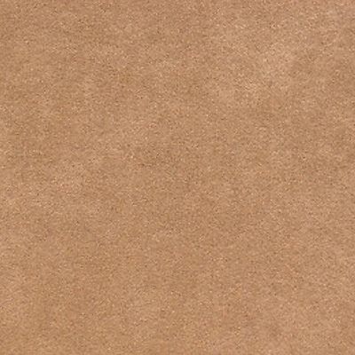 Alcantara Relax - Gazelle - Scalamandre Fabric