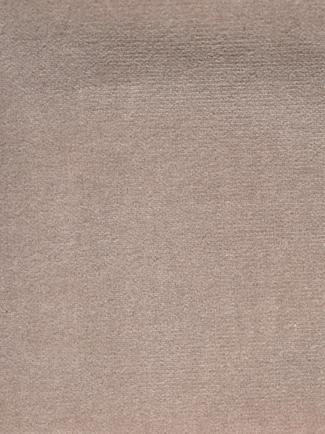 Cosmos - Taupe - Scalamandre Fabric