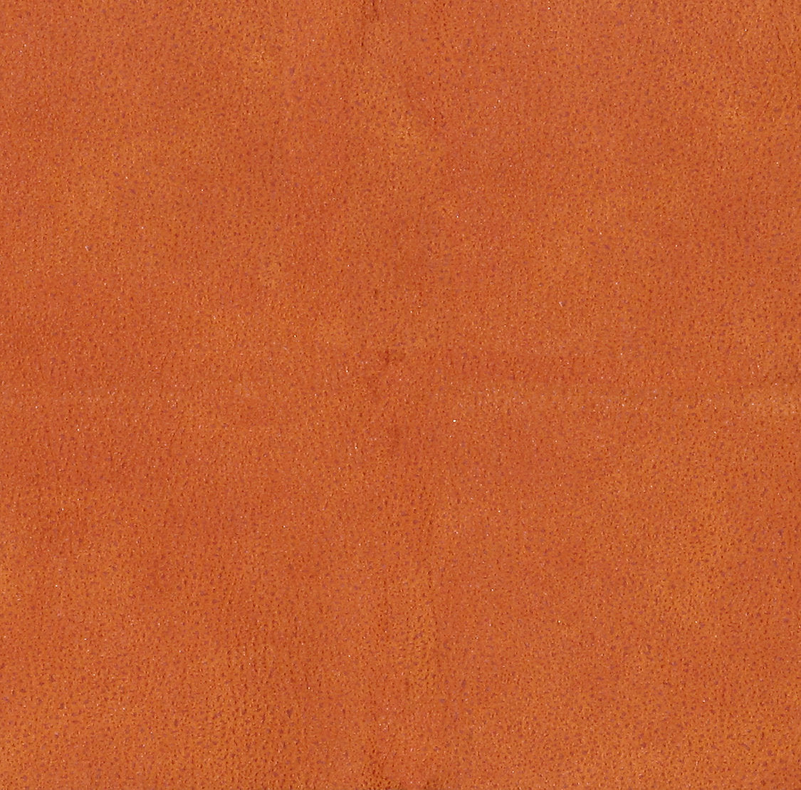 Western - Fauve - Scalamandre Fabric